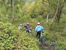 The rough track descent through Lustleigh Cleave